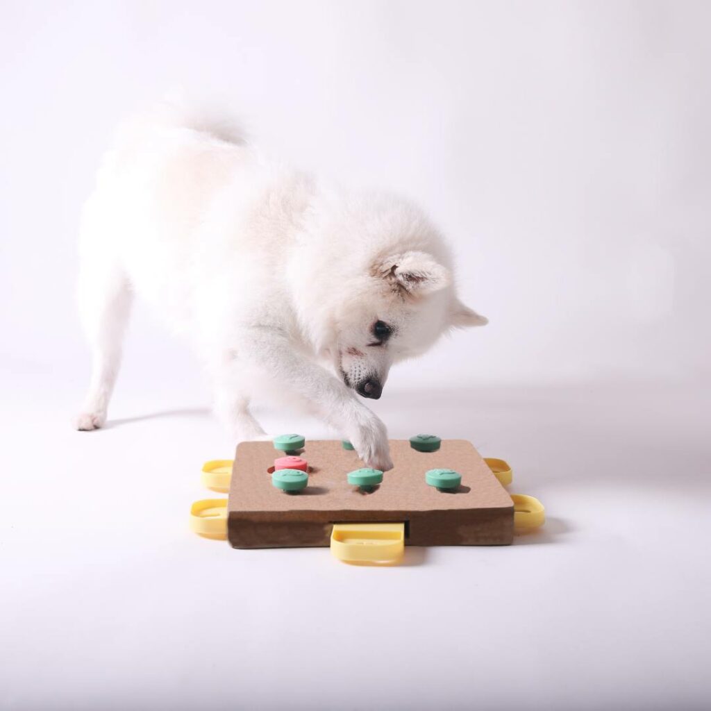 Giochi di Attivazione Mentale per Cani