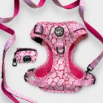 Set Pettorina 3 clip, Guinzaglio e Porta Sacchetti Rosy Marble