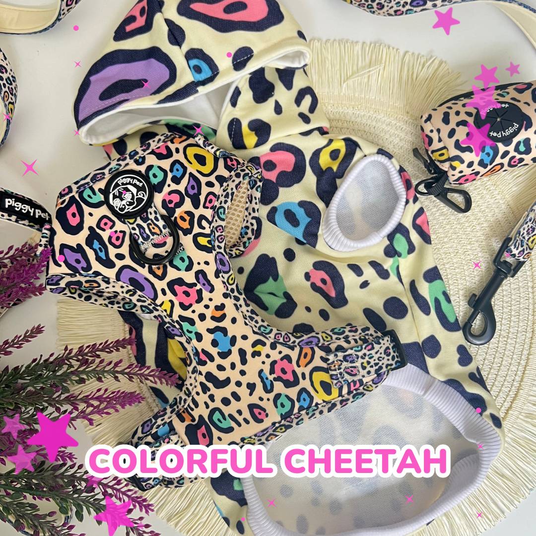 COLORFUL CHEETAH