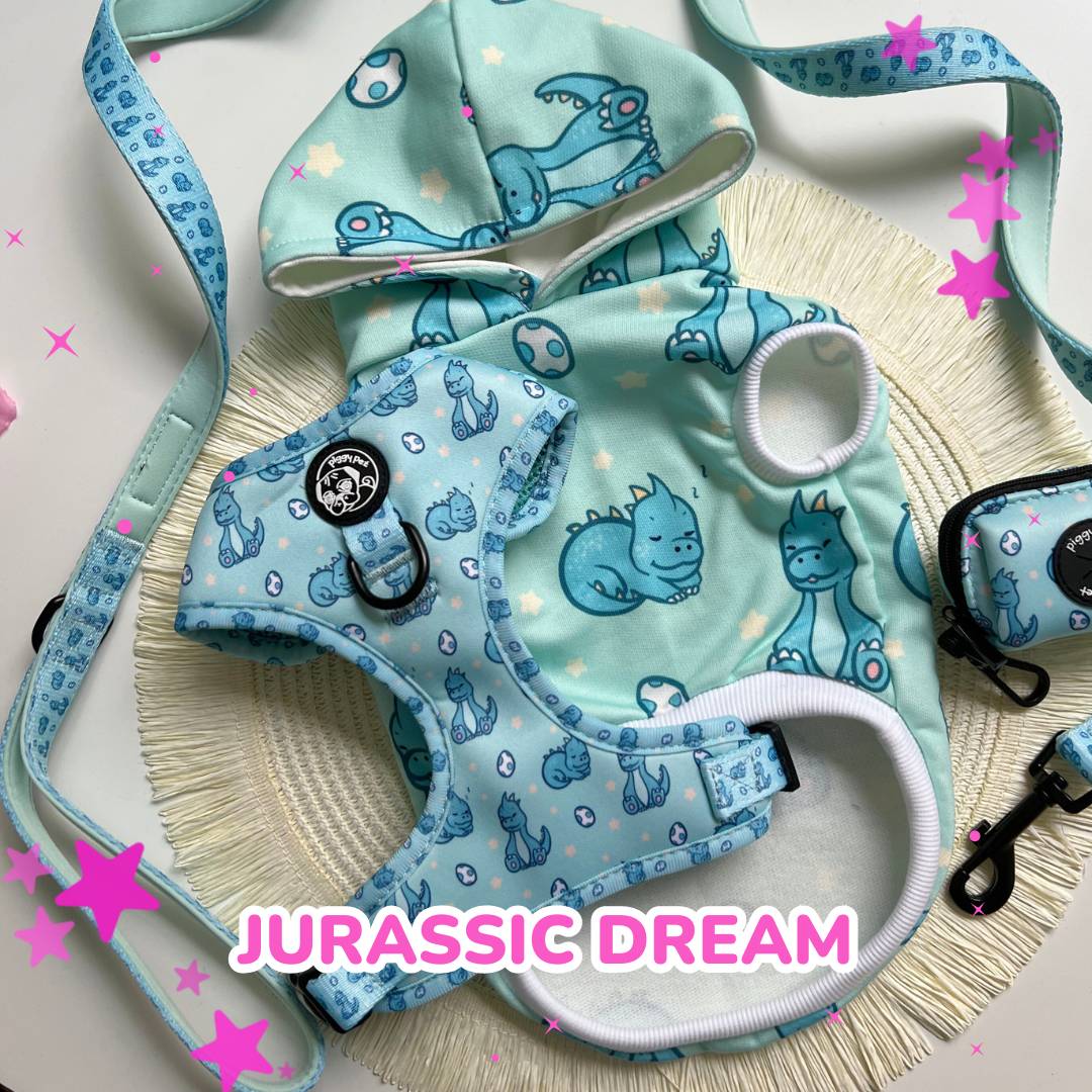 JURASSIC DREAM