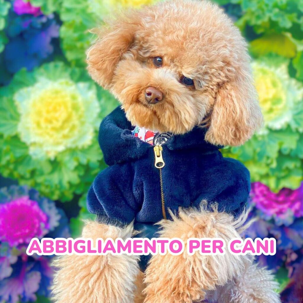 abbigliamento per cani
