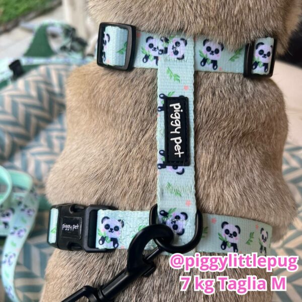 Set Pettorina ad H, Guinzaglio e Porta Sacchetti Panda Zen Set Pettorina ad H, Guinzaglio e Porta Sacchetti Panda Zen
