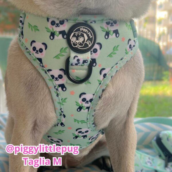 Set Pettorina ad H Regolabile, Guinzaglio e Porta Sacchetti Panda Zen