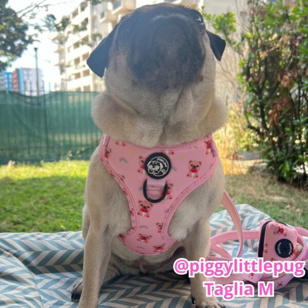 Pettorina ad H Morbida Loving Teddy Pettorina ad H Morbida Loving Teddy