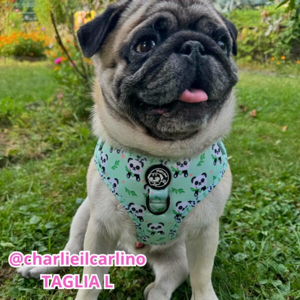 Set Pettorina ad H Regolabile, Guinzaglio e Porta Sacchetti Panda Zen