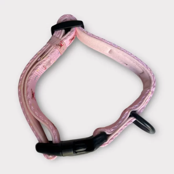 Collare Loving Teddy