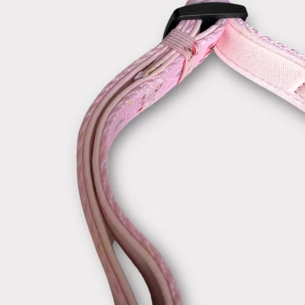 Collare Loving Teddy