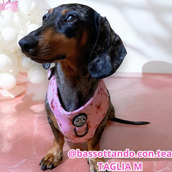 Pettorina ad H Morbida Loving Teddy Pettorina ad H Morbida Loving Teddy