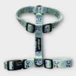 Pettorina ad H Panda Zen XS