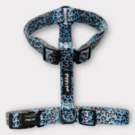 Set Pettorina ad H, Guinzaglio e Porta Sacchetti Jungle Leopard Set Pettorina ad H, Guinzaglio e Porta Sacchetti Jungle Leopard