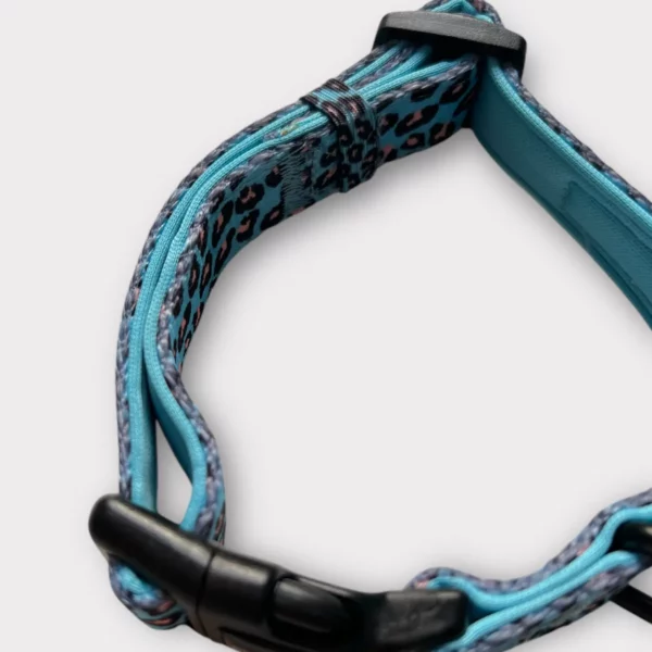 Collare Jungle Leopard Collare Jungle Leopard