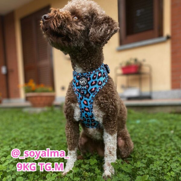 Pettorina ad H Morbida Jungle Leopard L Pettorina ad H Morbida Jungle Leopard L