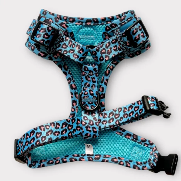 Set Pettorina ad H Regolabile, Guinzaglio e Porta Sacchetti Jungle Leopard Set Pettorina ad H Regolabile, Guinzaglio e Porta Sacchetti Jungle Leopard