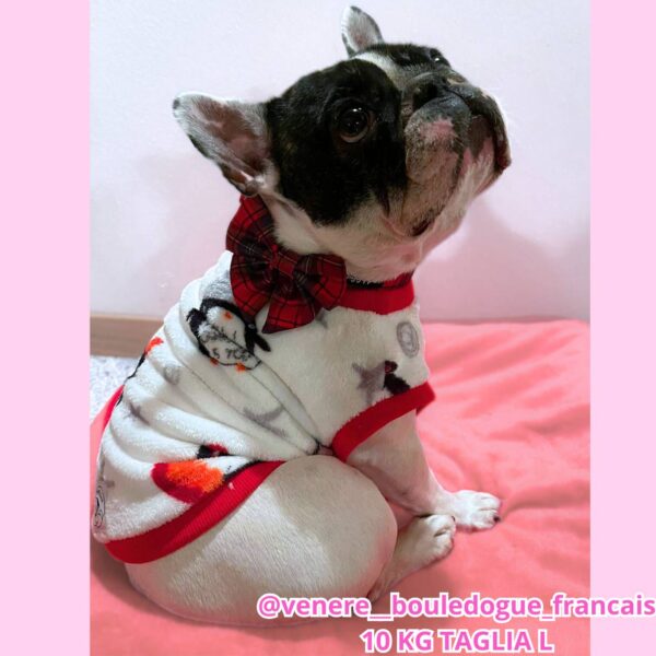 Cappottino Invernale Impermeabile Girlie Cappottino Invernale Impermeabile Girlie