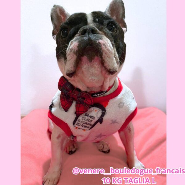 Cappottino Invernale Impermeabile Girlie Cappottino Invernale Impermeabile Girlie