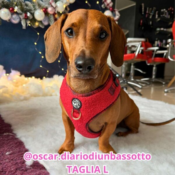 Copia di Copia di Copia di Rosa Arancione Tenue Foto Illustrato Beauty Care Promo Instagram post (79)