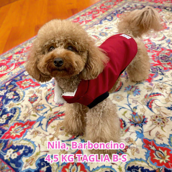 nila