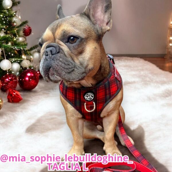 Pettorina ad H Morbida Tartan Glam L Pettorina ad H Morbida Tartan Glam L