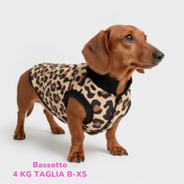 Cappottino Invernale Impermeabile Leopard BS