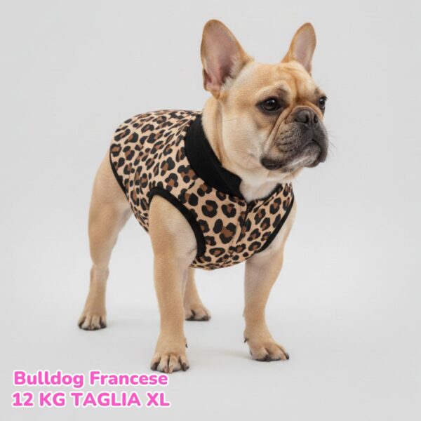 Cappottino Invernale Impermeabile Leopard BS