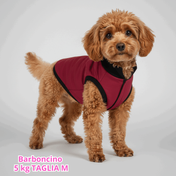 Cappottino Invernale Impermeabile Bordeaux Cappottino Invernale Impermeabile Bordeaux