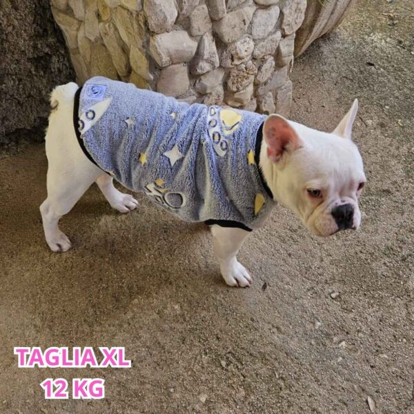 dorotea (46)