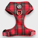 Pettorina ad H Regolabile Tartan Glam