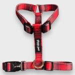 Pettorina ad H Tartan Glam