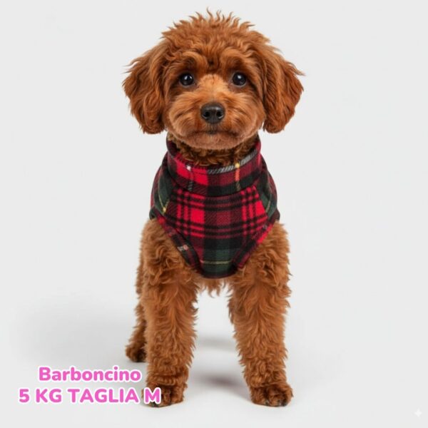 Pile Scozzese Pile Scozzese