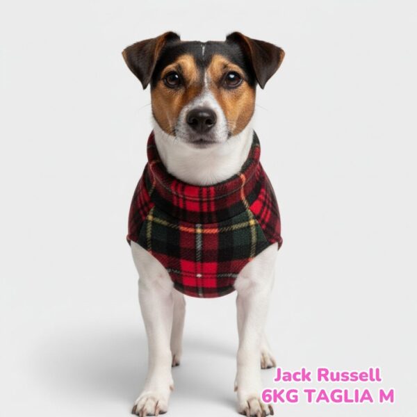 Pile Scozzese Pile Scozzese