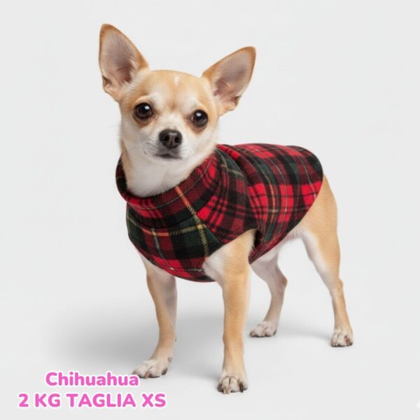 Pile Scozzese Pile Scozzese