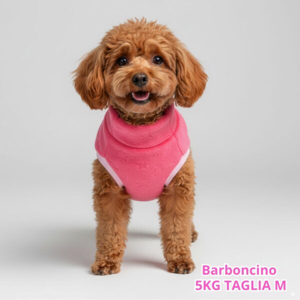 Pelliccetta Star Pelliccetta Star