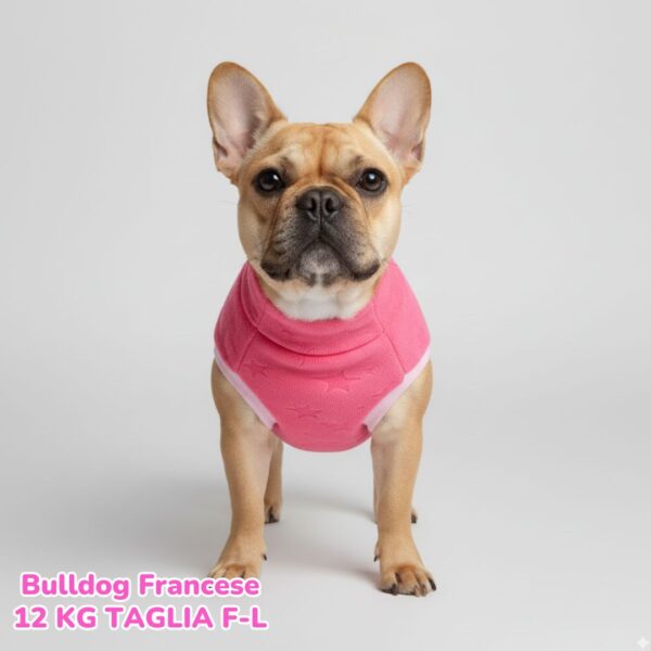 Pelliccetta Star Pelliccetta Star