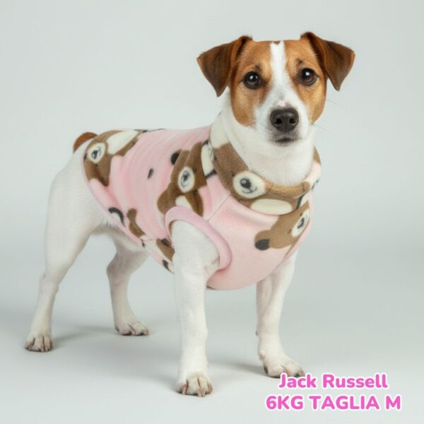 Pile Pelliccia Teddy Pink