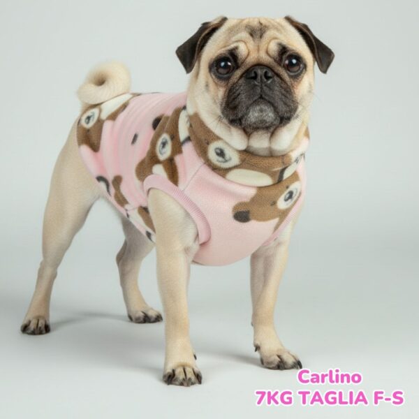 Pile Pelliccia Teddy Pink