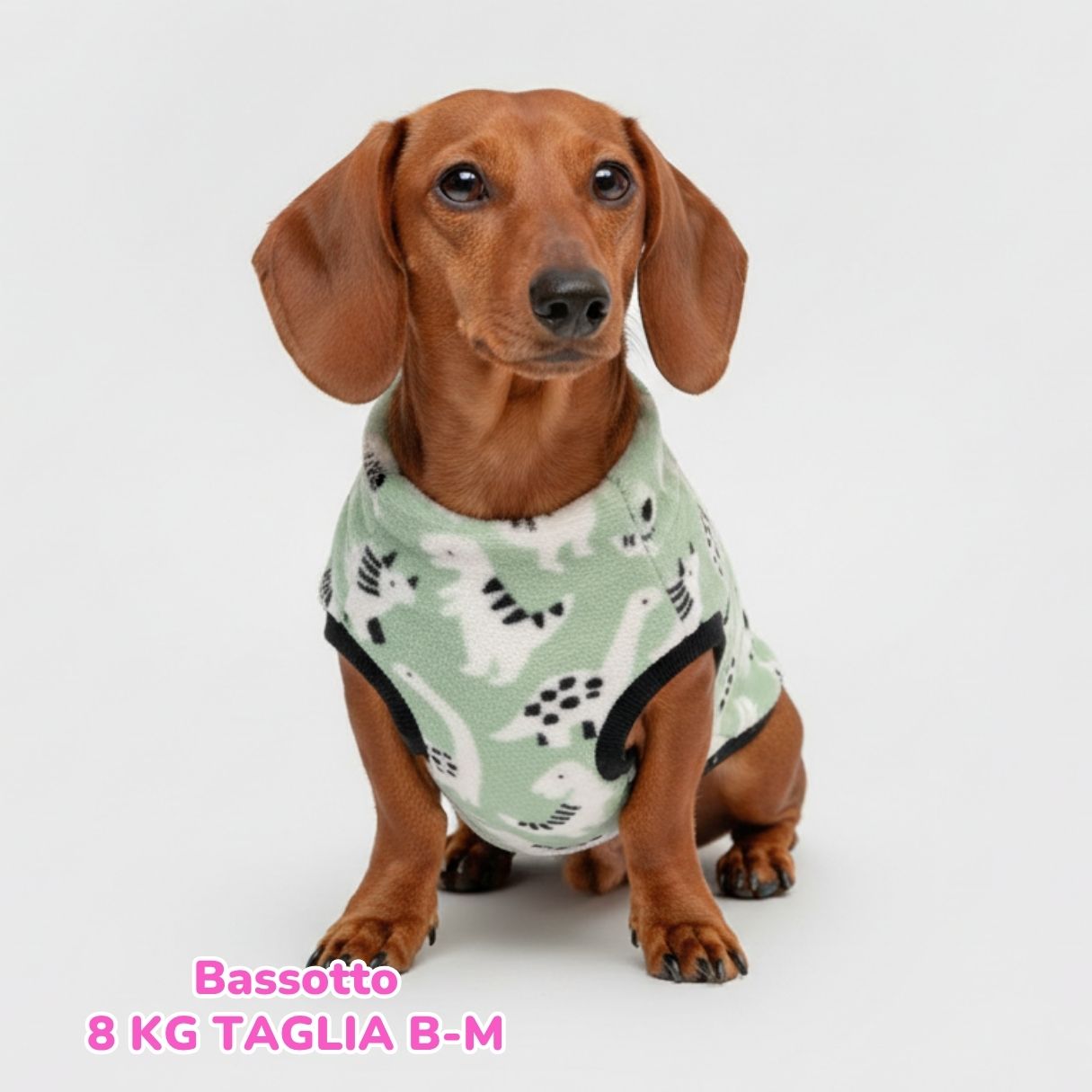 Pile Pelliccia Dinosauri Baby