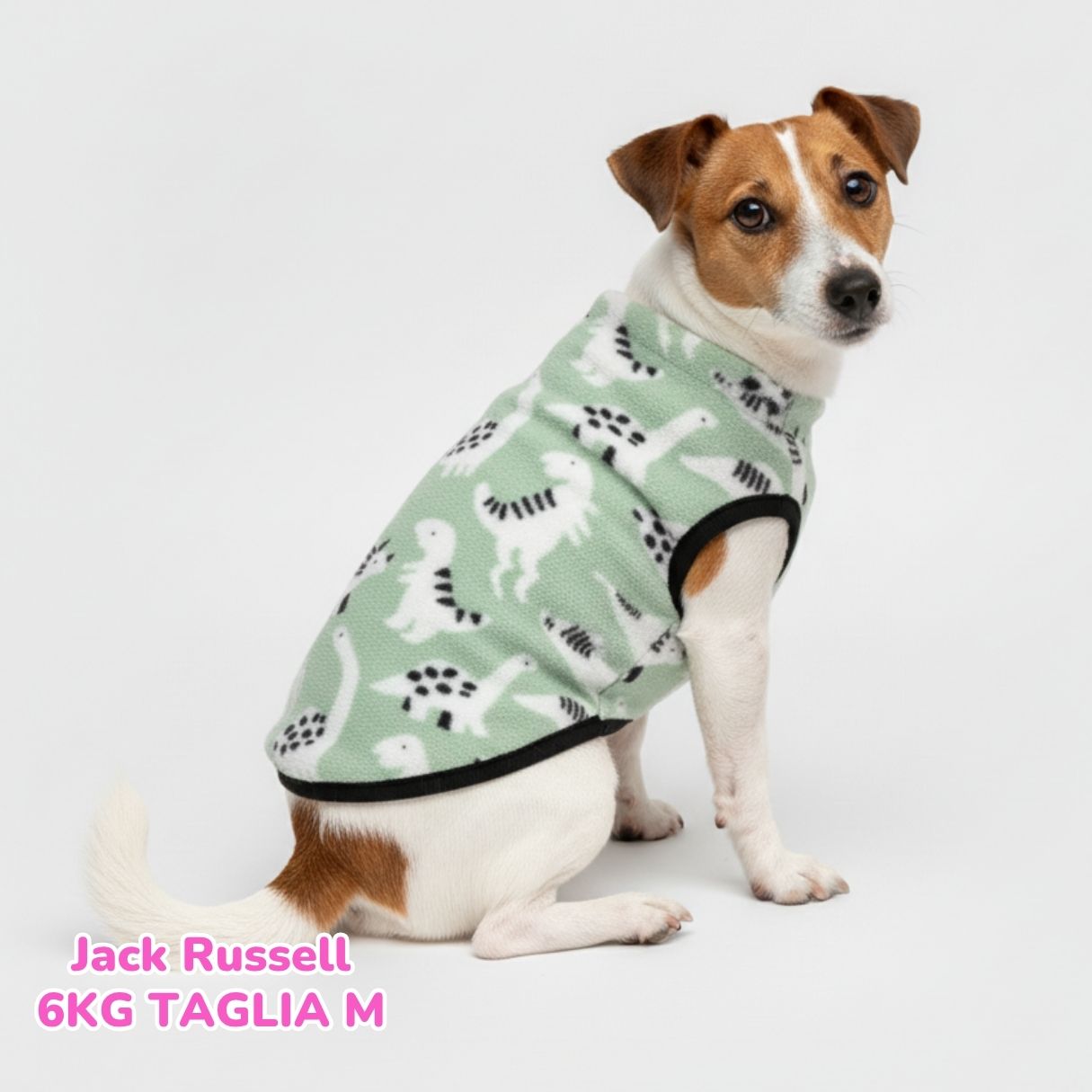 Pile Pelliccia Dinosauri Baby