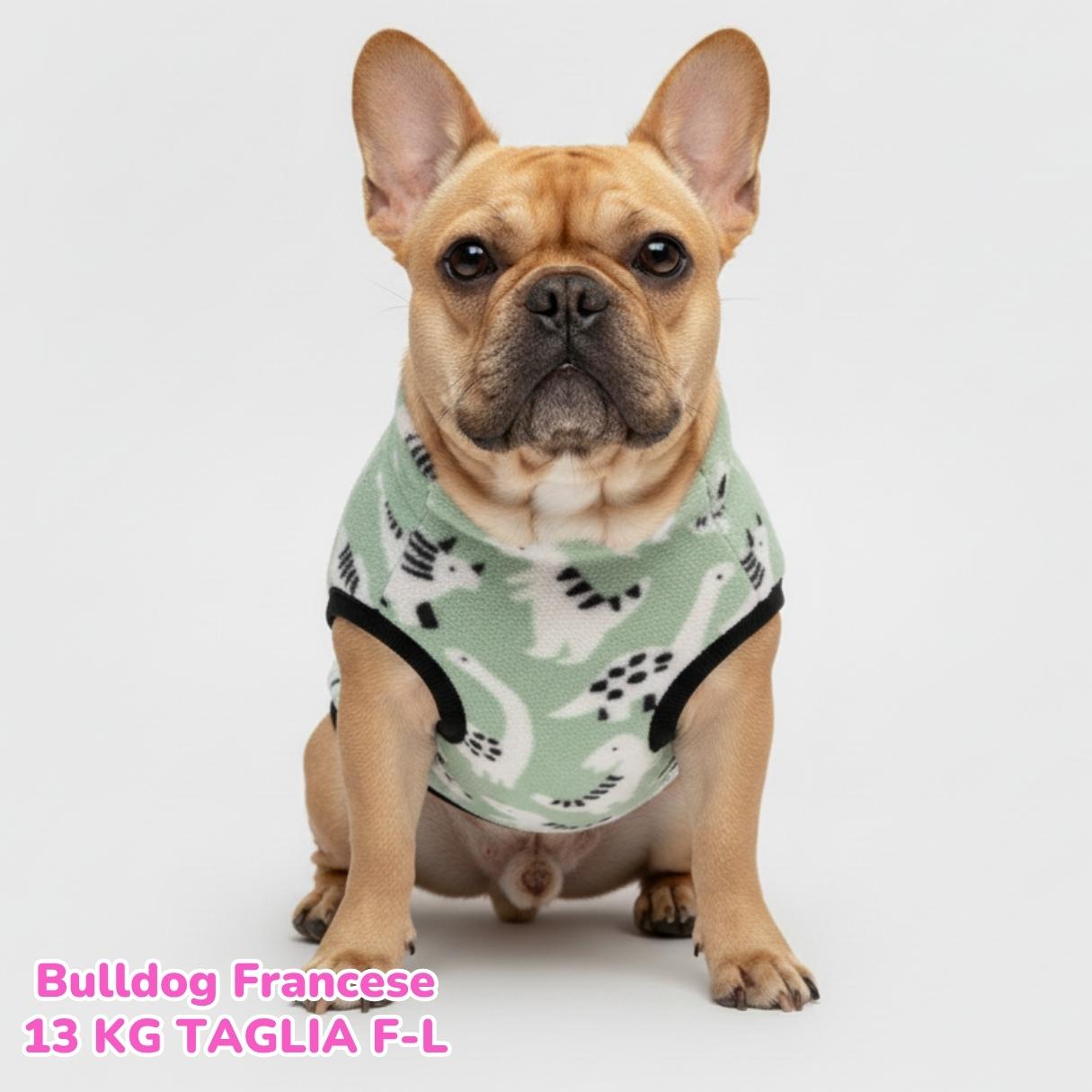 Pile Pelliccia Dinosauri Baby