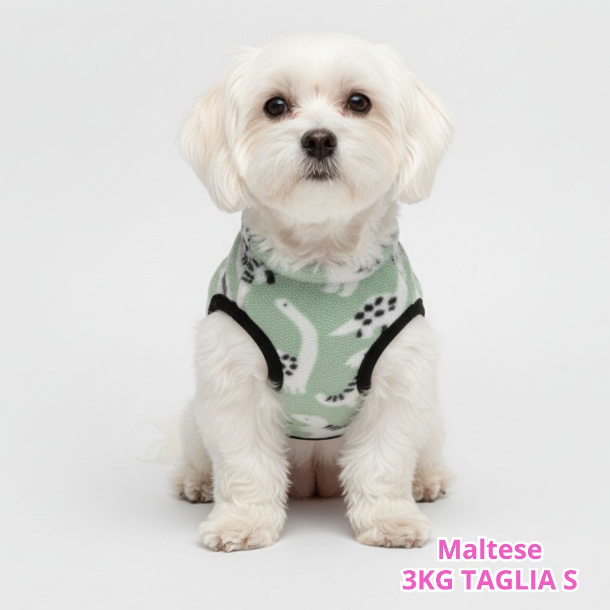 Pile Pelliccia Dinosauri Baby