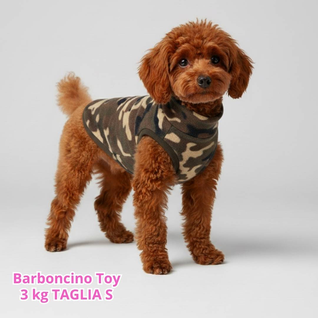 Pile Camo