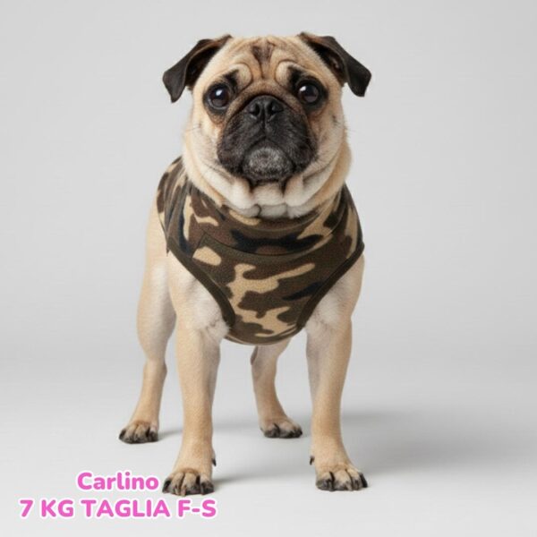 Pile Camo