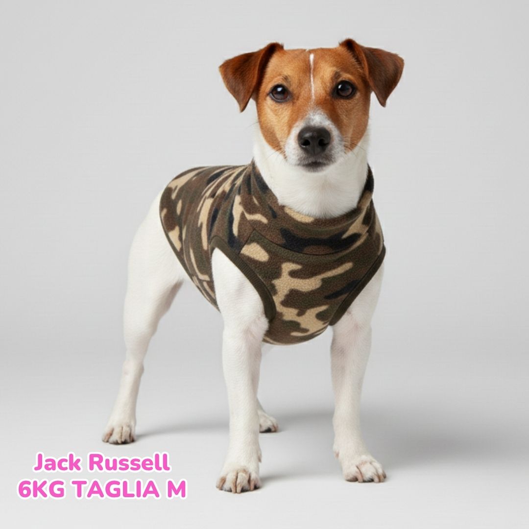 Pile Camo