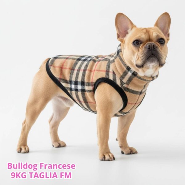 Pile Pelliccia Tartan Beige Pile Pelliccia Tartan Beige