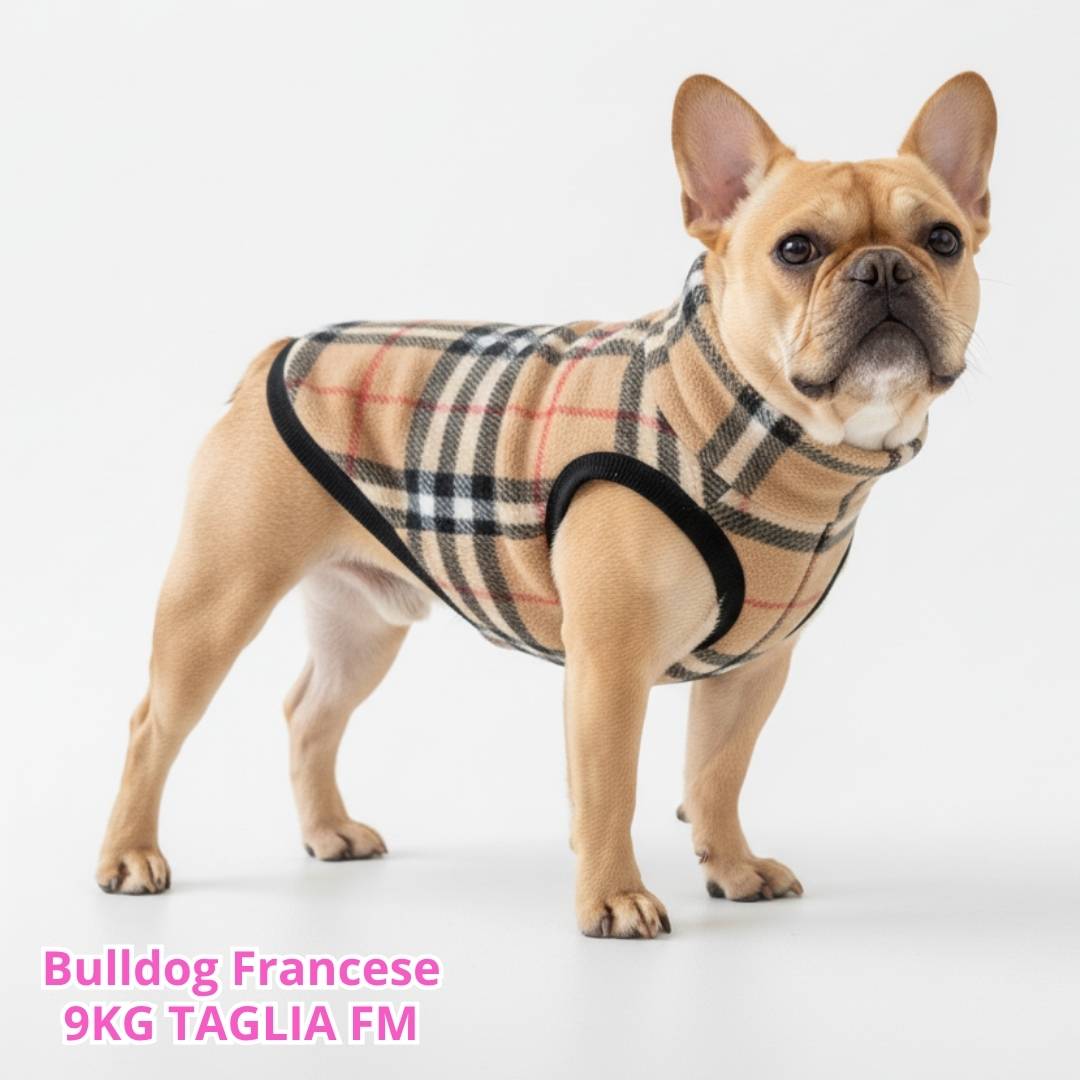 Pile Pelliccia Tartan Beige