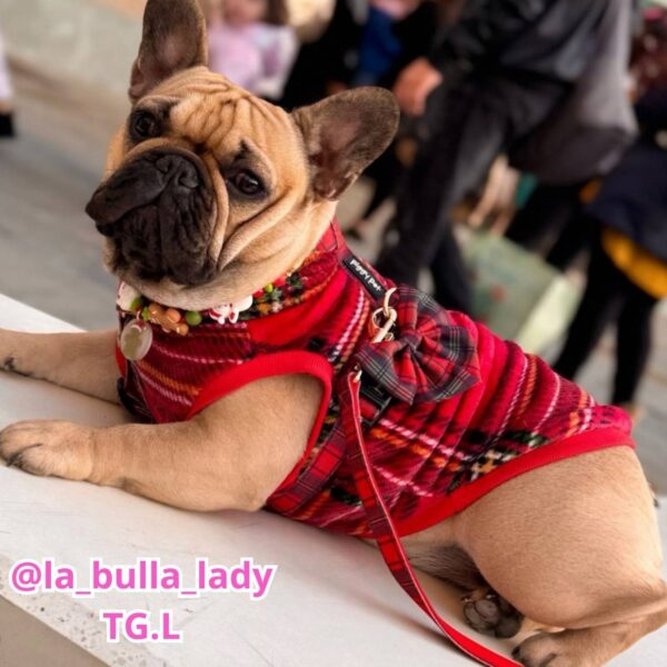 Pile Pelliccia Tartan Rosso e Verde