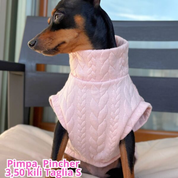 Maglione a Coste Rosa