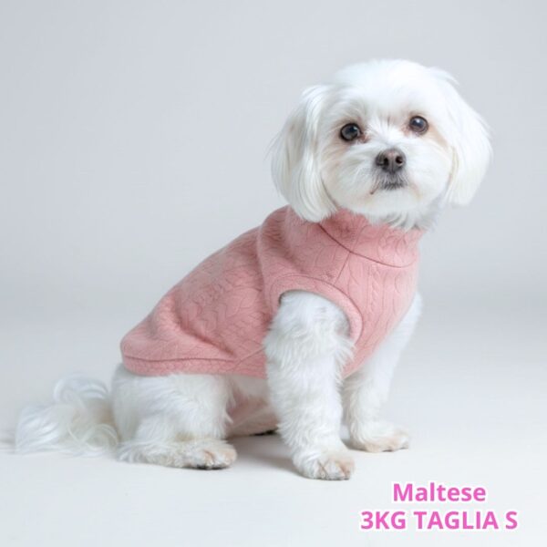 Maglione a Coste Rosa