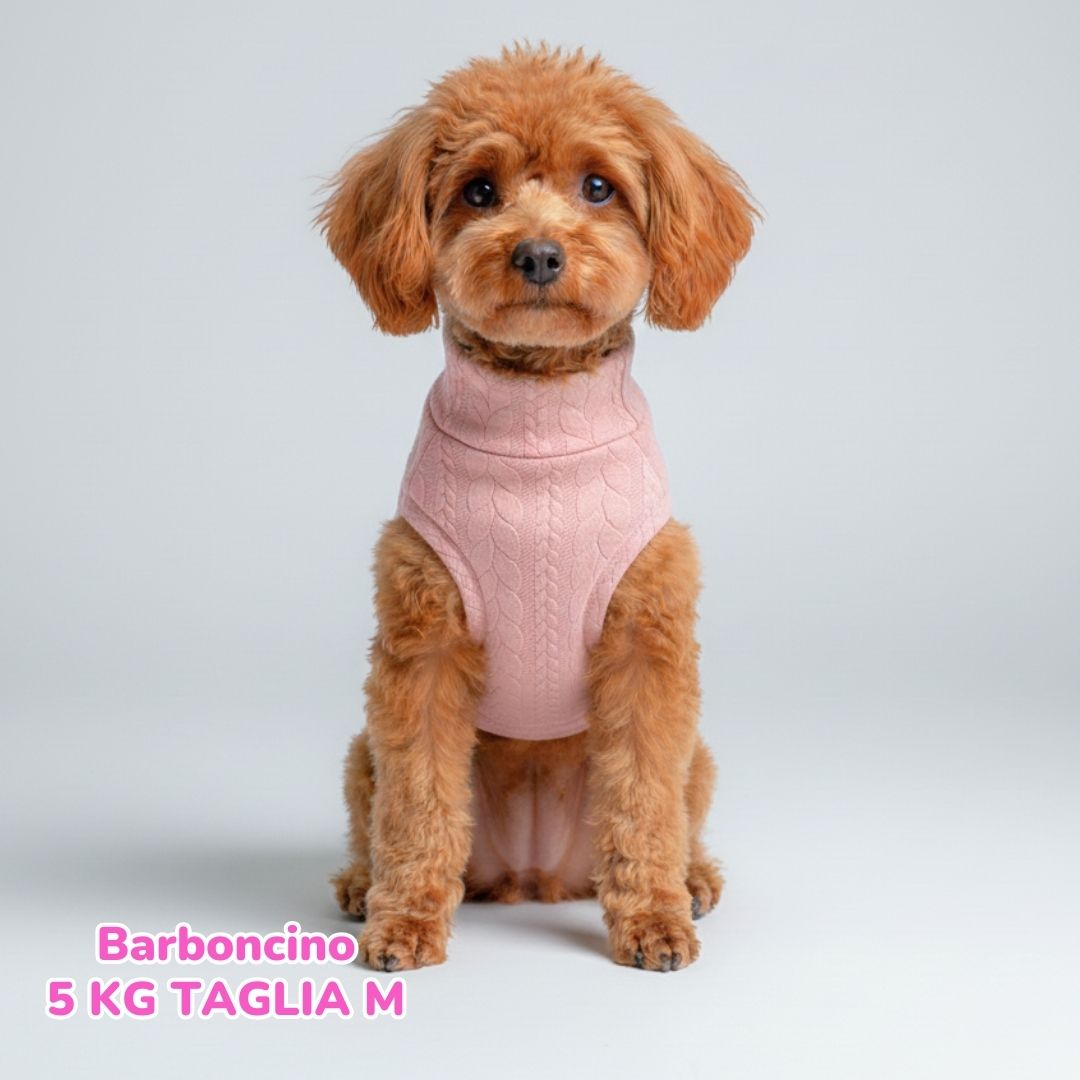Maglione a Coste Rosa