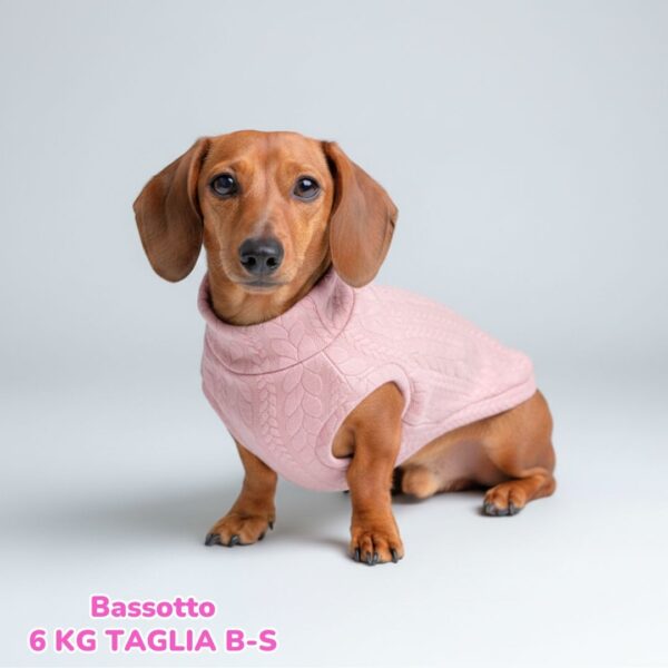 Maglione a Coste Rosa