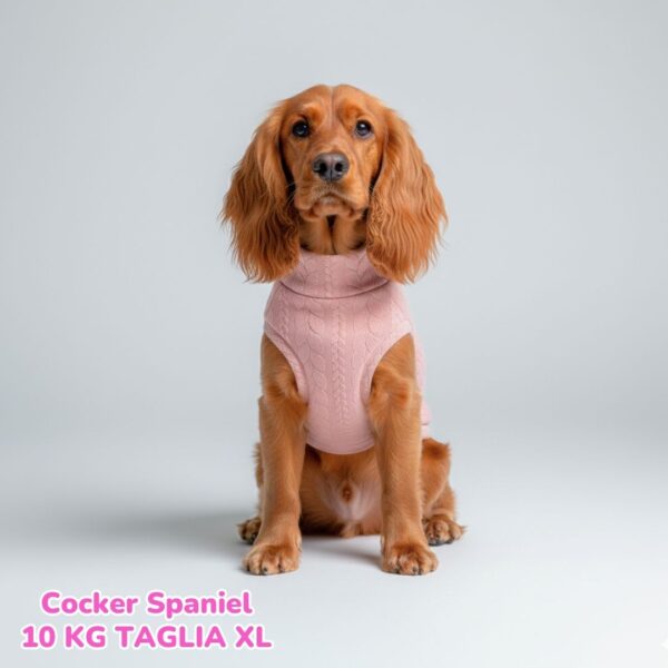 Maglione a Coste Rosa